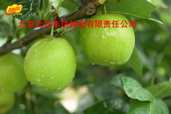 �������������ҵ���޹�˾